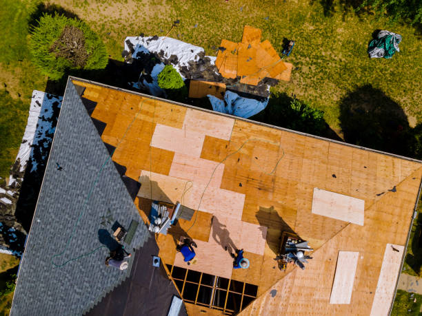 Best Flat Roof Repair Services  in West Branch, IA